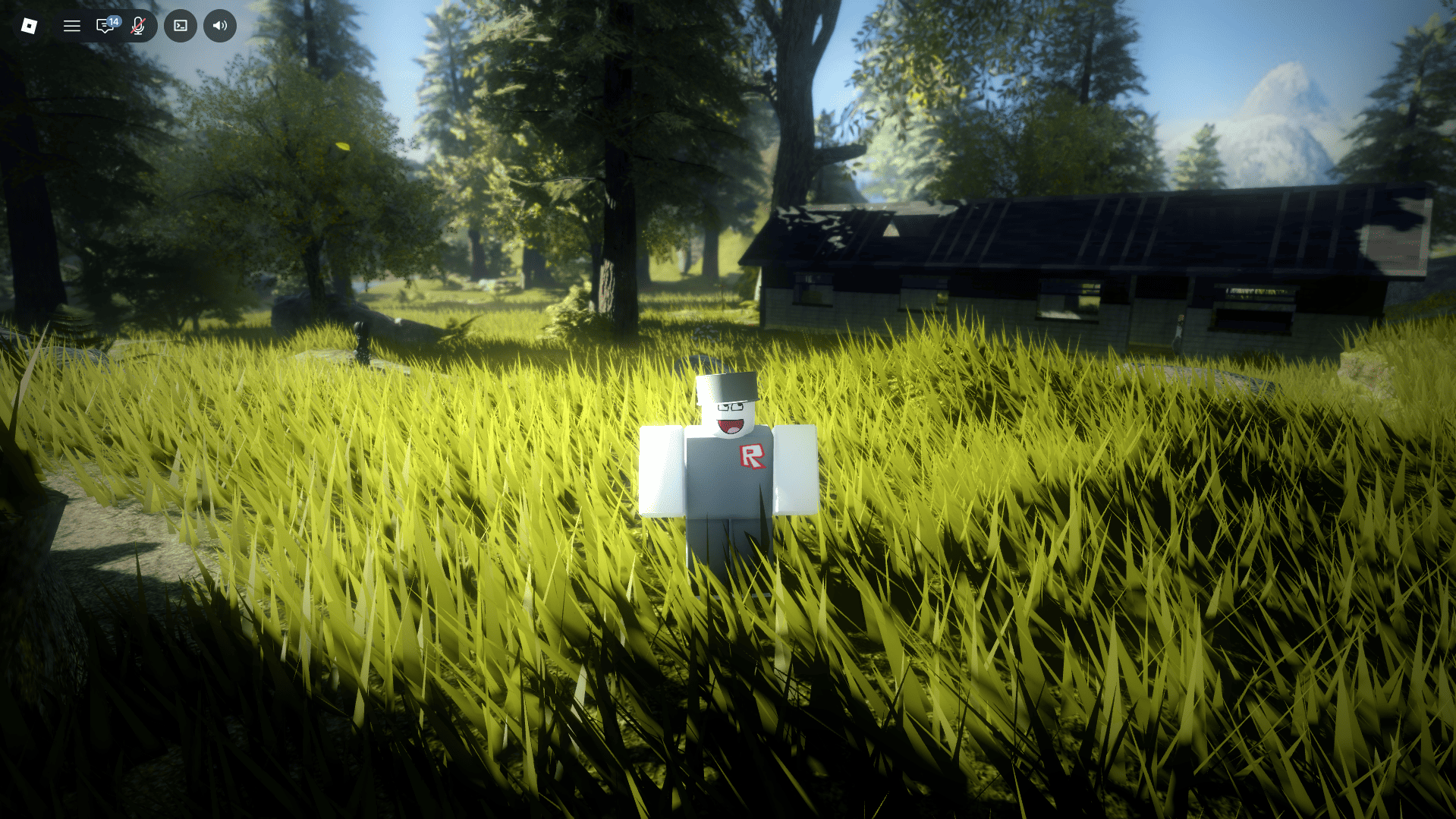 Bloom preview