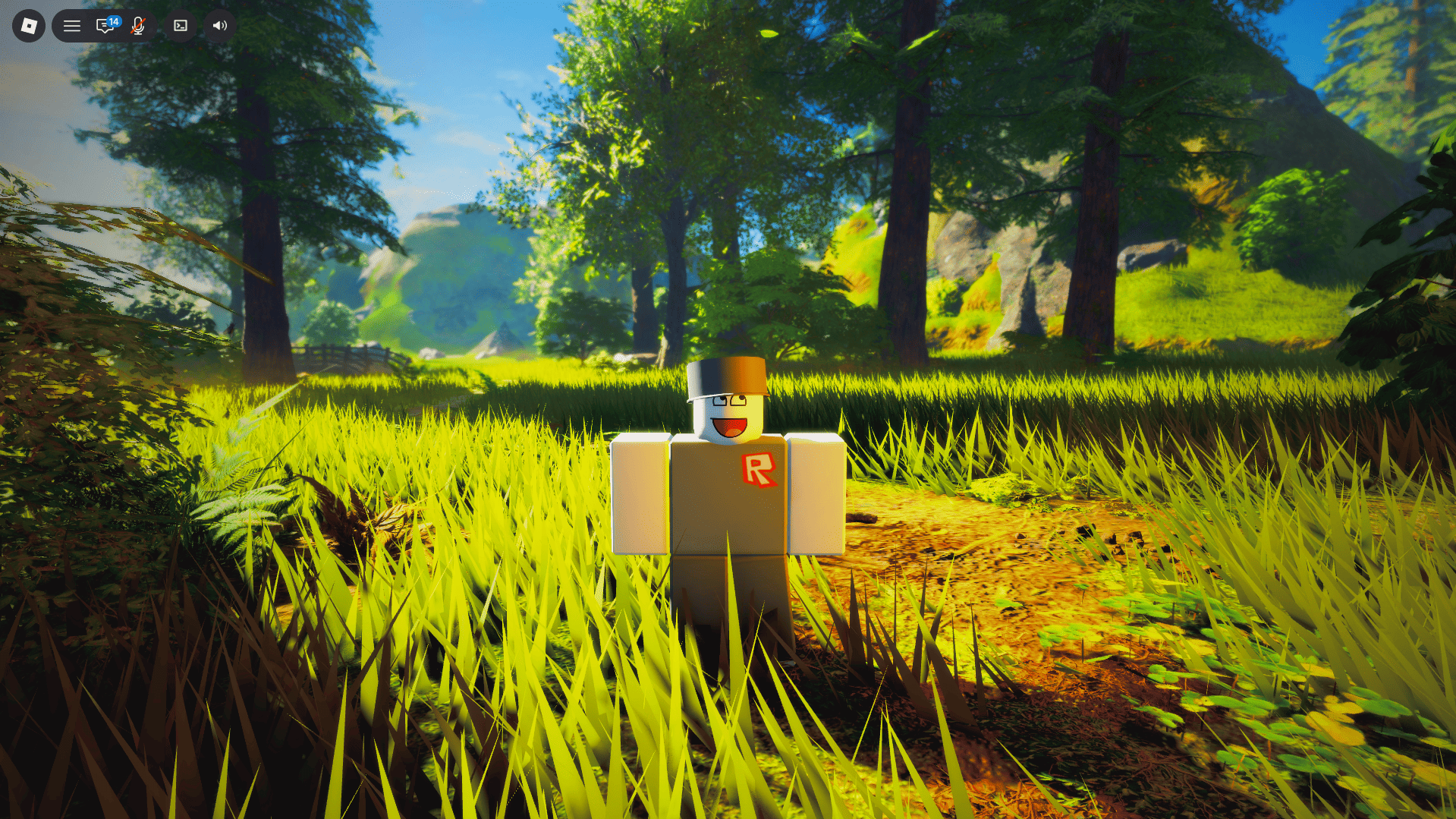 HDR preview