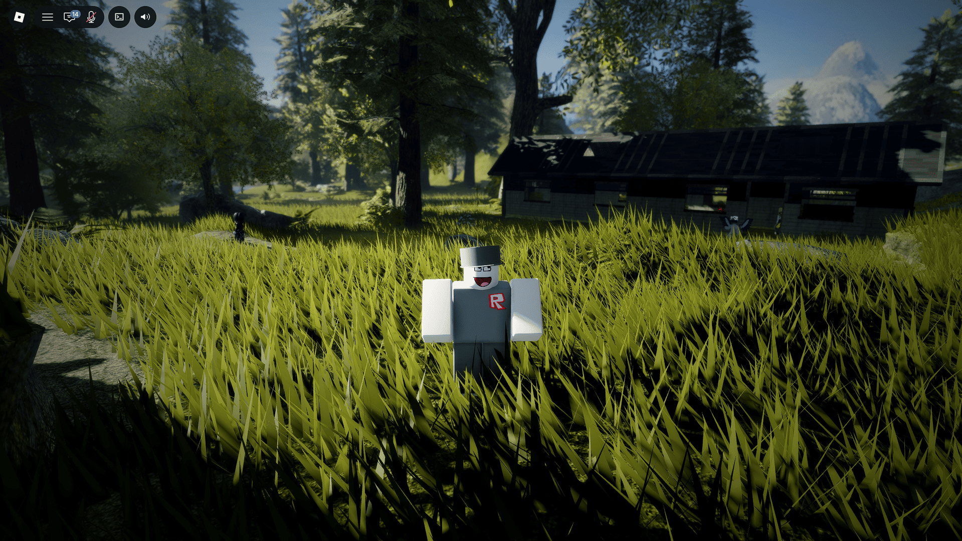 Sharpen preview